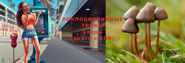 герыч Абинск
