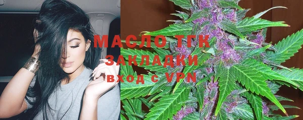 дмт Алексин