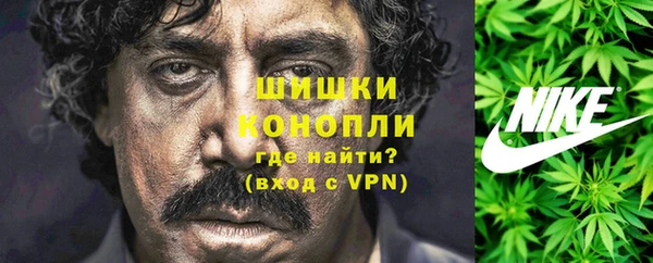 дмт Алексин
