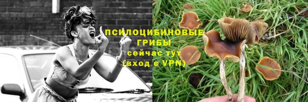 a pvp Алзамай
